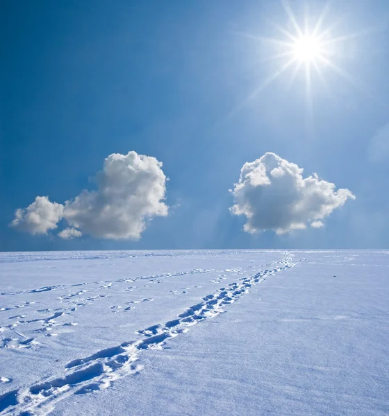 Winter plain — Stock Photo, Image