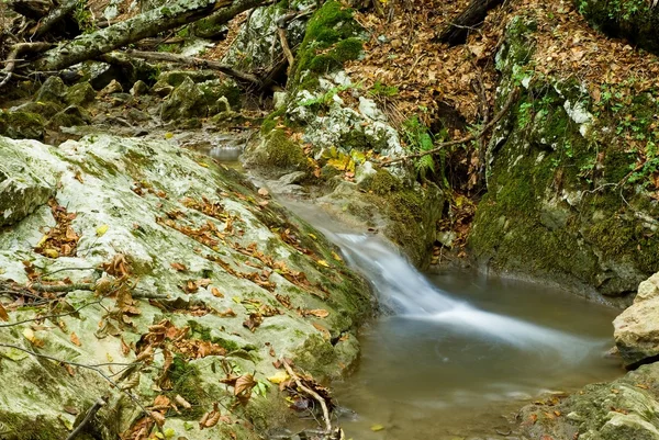 Höstens bergsflod — Stockfoto