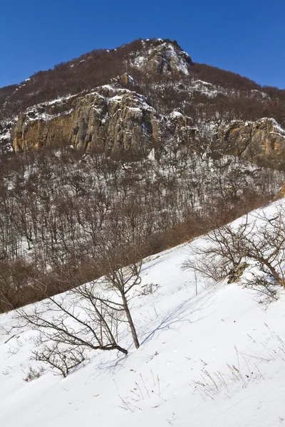 Escena de la montaña en una nieve — Stockfoto