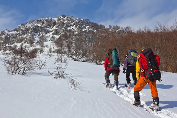 Группа туристов в зимних горах — стоковое фото