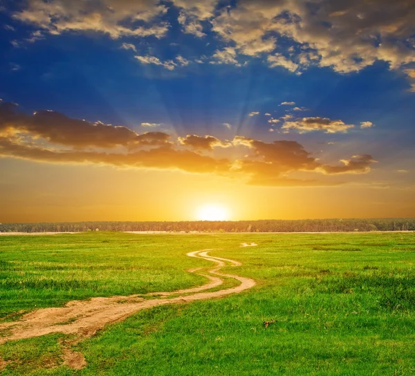 Groene landschap ar's avonds — Stockfoto