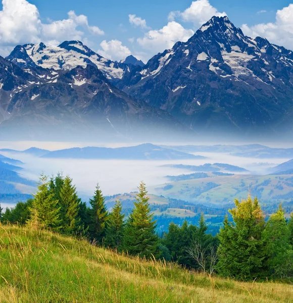 Scena di montagna — Foto Stock