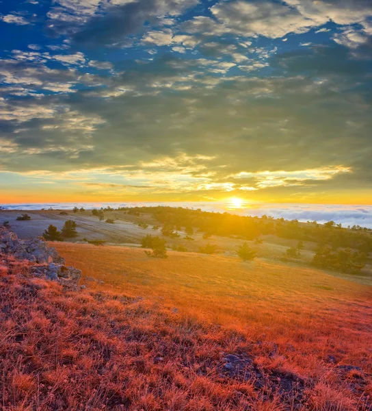 Vroege ochtend in een steppe — Stockfoto