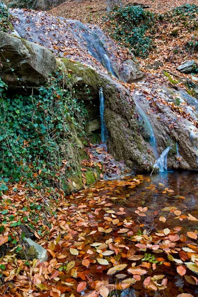 Autumn waterfall — Stock Photo, Image