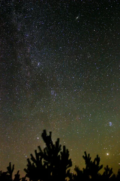 Зоряне небо ніч — стокове фото
