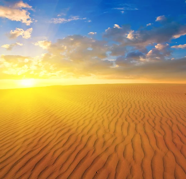 Захід сонця над піщаною пустелею — стокове фото