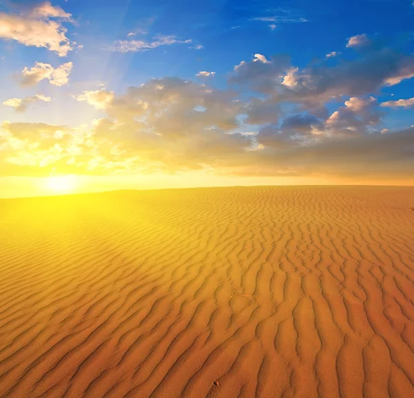 Sonnenuntergang über einer Sandwüste — Stockfoto