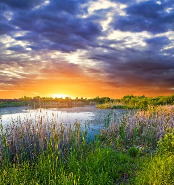 Večerní jezero — Stock fotografie