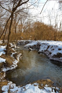 kış orman içinde akan nehir