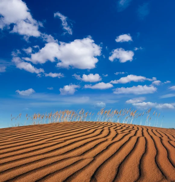 Песчаная пустыня в облачном небе — стоковое фото