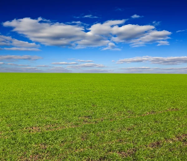 Groene landelijke scène — Stockfoto