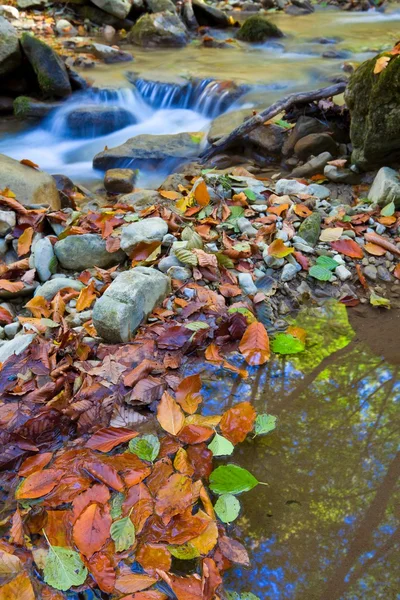 El arroyo en las montañas otoñales —  Fotos de Stock