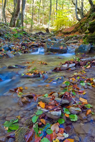 River in a autumn forest — Stock Photo, Image