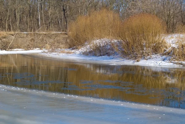 Rivière close dans une glace — Photo