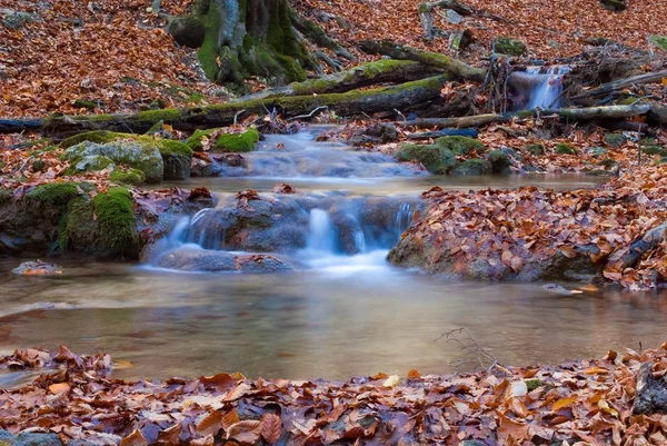 Podzimní řeka — Stock fotografie