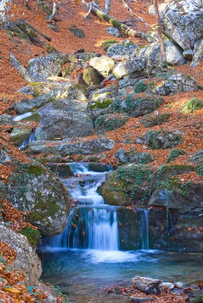 Őszi canyon folyó — Stock Fotó