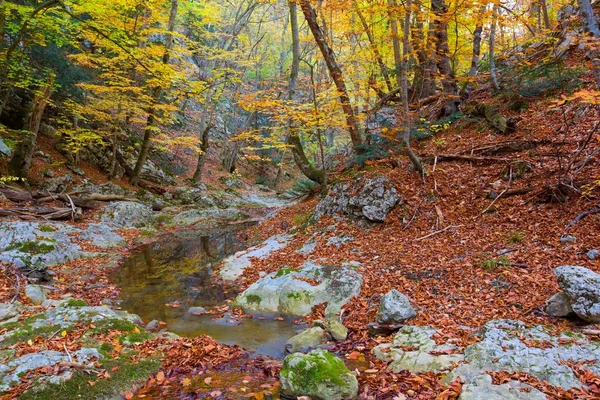 Höstens floden i en berg-canyon — Stockfoto