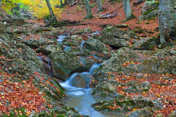 Brook dans un canyon d'automne — Photo