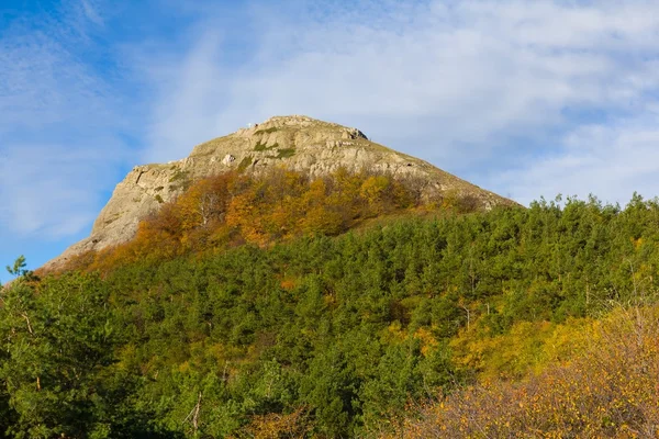 Alleen bergtop — Stockfoto