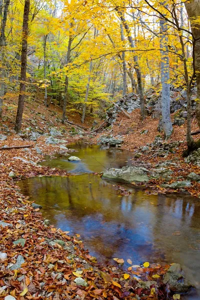 Ruhiger kleiner Fluss — Stockfoto