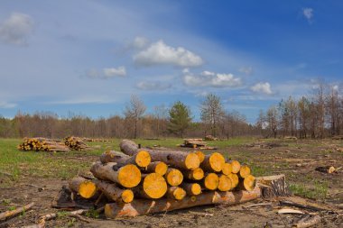 Yenilenebilir Enerji