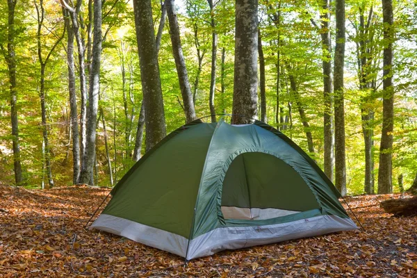 Touristisches Zelt im Herbstwald — Stockfoto