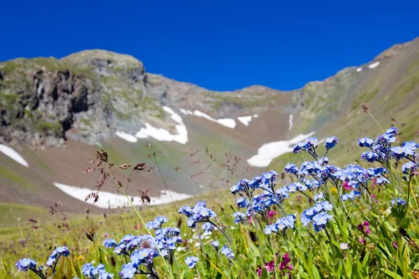 Tierras alpinas — Foto de Stock