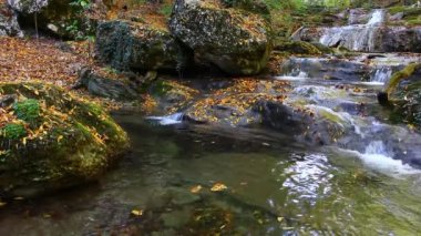 sonbahar Nehri