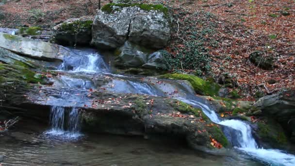 Водопад — стоковое видео