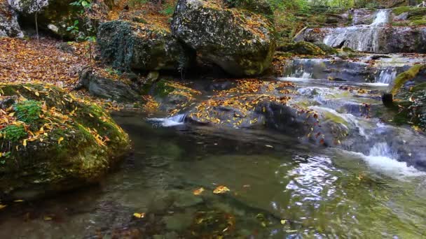 Río Otoño — Vídeos de Stock