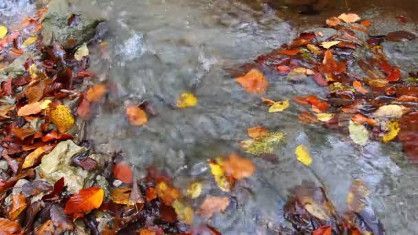 Closeup ορμώντας νερό — Αρχείο Βίντεο