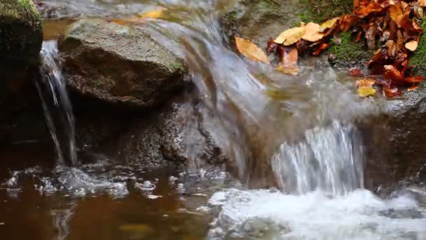 Cascada de agua de primer plano — Vídeos de Stock