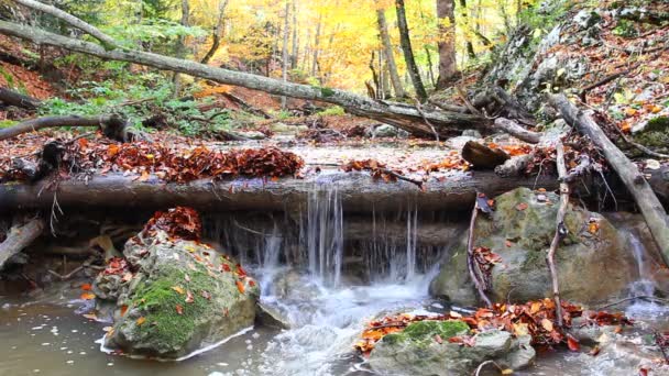 Водоспад на осінній річці — стокове відео