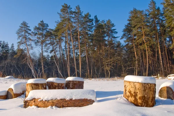 Clareira floresta de inverno — Fotografia de Stock