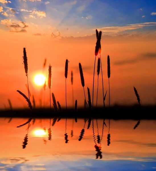 Zonsondergang op een meer kust — Stockfoto