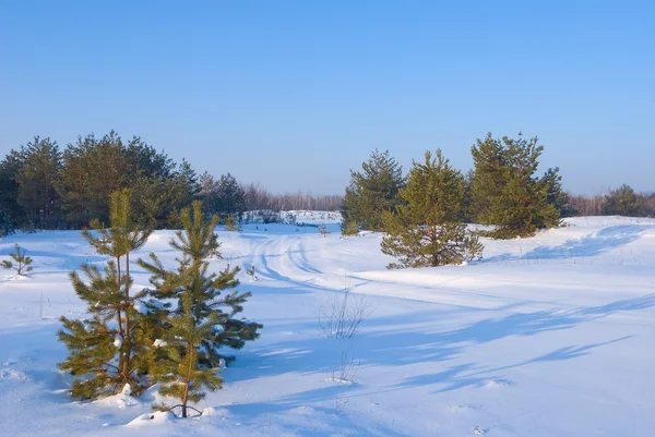 Winterfelder — Stockfoto