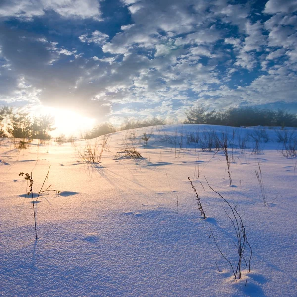 Plaine hivernale du soir — Photo