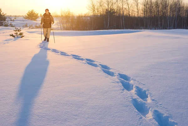 Turist promenad bland en vinter insnöade fält — Stockfoto