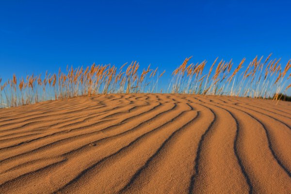 Песчаные дюны

