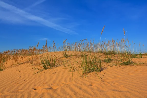 Zandstrand heuvels — Stockfoto