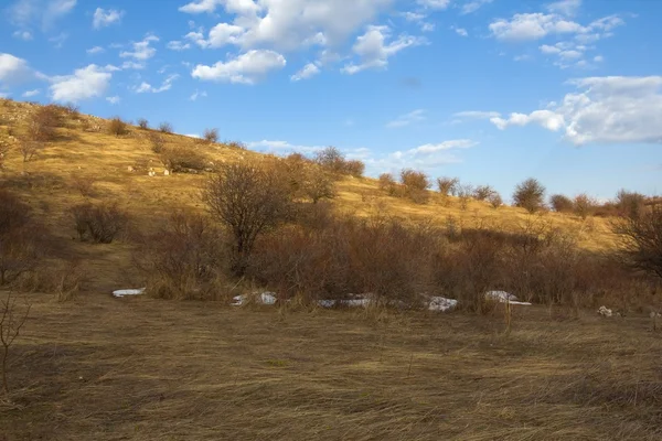 Abendliche Grashügel — Stockfoto