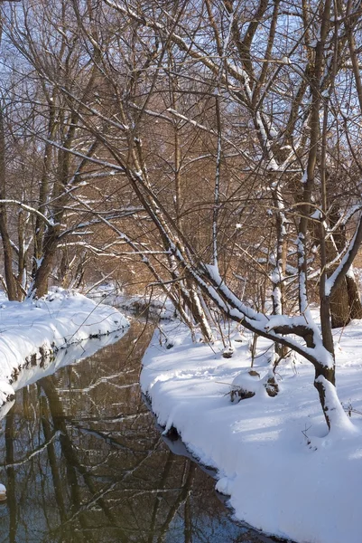 積雪の森の川 — ストック写真