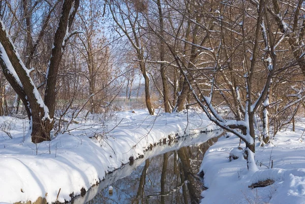 Rivière dans une forêt d'hiver — Photo