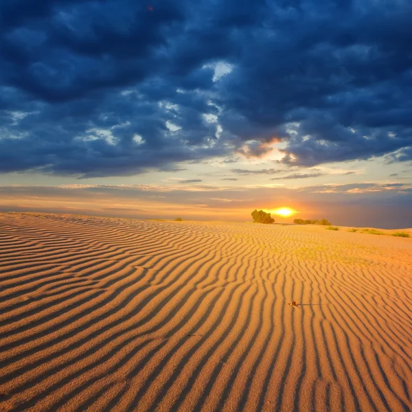 Закат в пустыне — стоковое фото