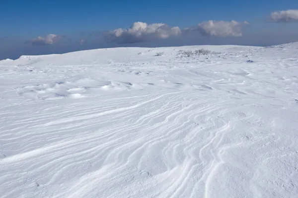 Iarnă câmpie de zăpadă — Fotografie, imagine de stoc