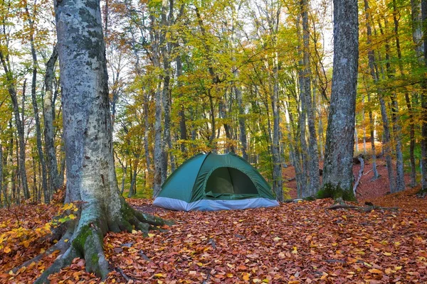 Tienda turística en un bosque otoñal — Stockfoto