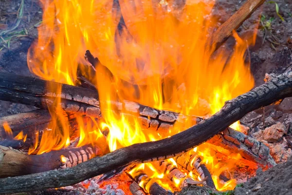 Closeup camp fire — Stock Photo, Image