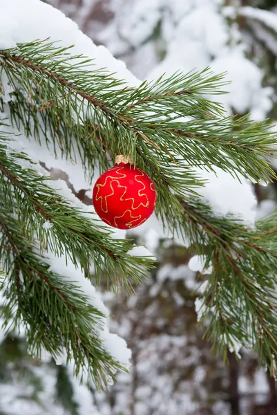 Neujahr Tannenzweig — Stockfoto