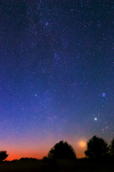 Nachtbeeld — Stockfoto