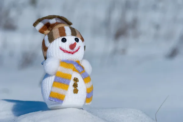 Gelukkig sneeuwpop speelgoed met een winter — Stockfoto